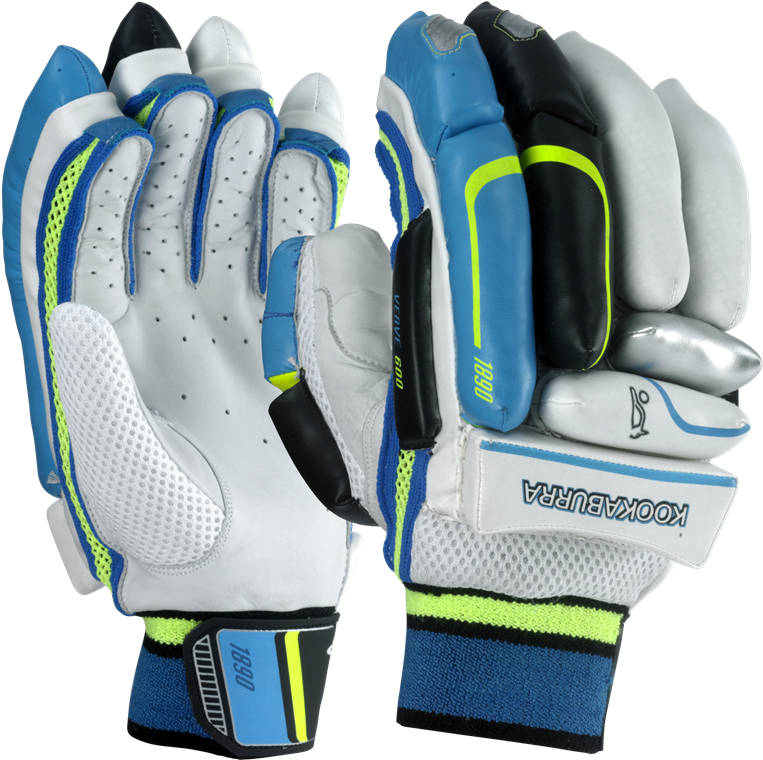 Cricket Batting Gloves Blue White