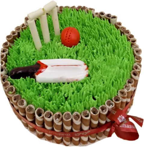 Cricket Themed Celebration Cake