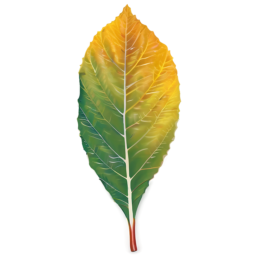 Crisp Autumn Leaf Png 17