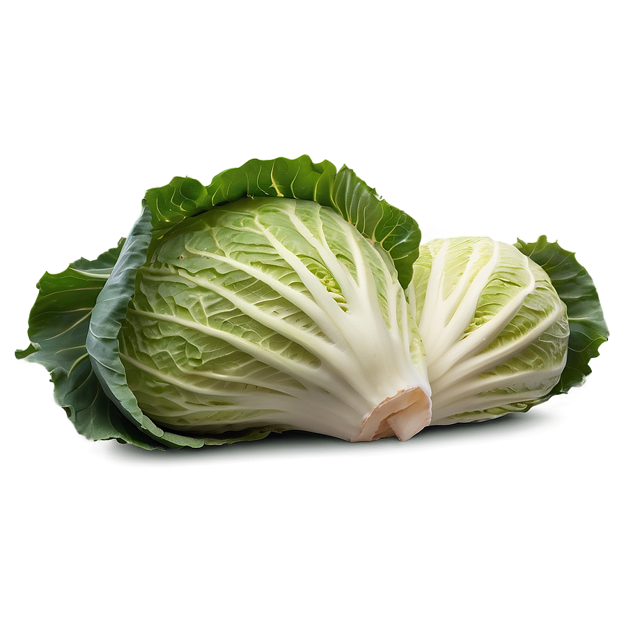 Crisp Cabbage Png 13