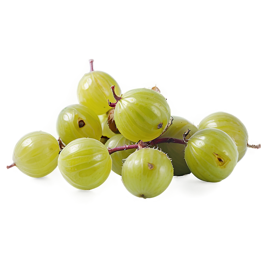 Crisp Gooseberry Png 05232024