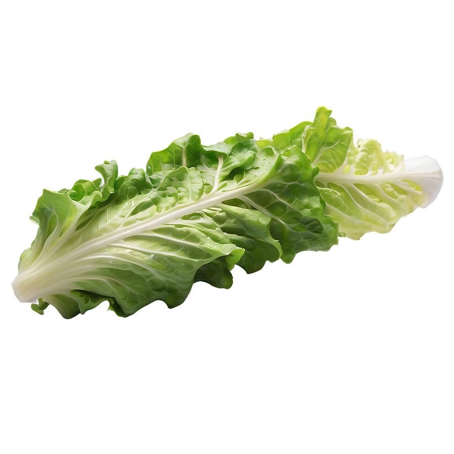 Crisp Lettuce Leaf Png 70