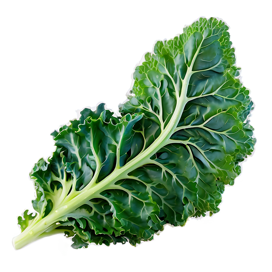 Crispy Kale Png Lyk