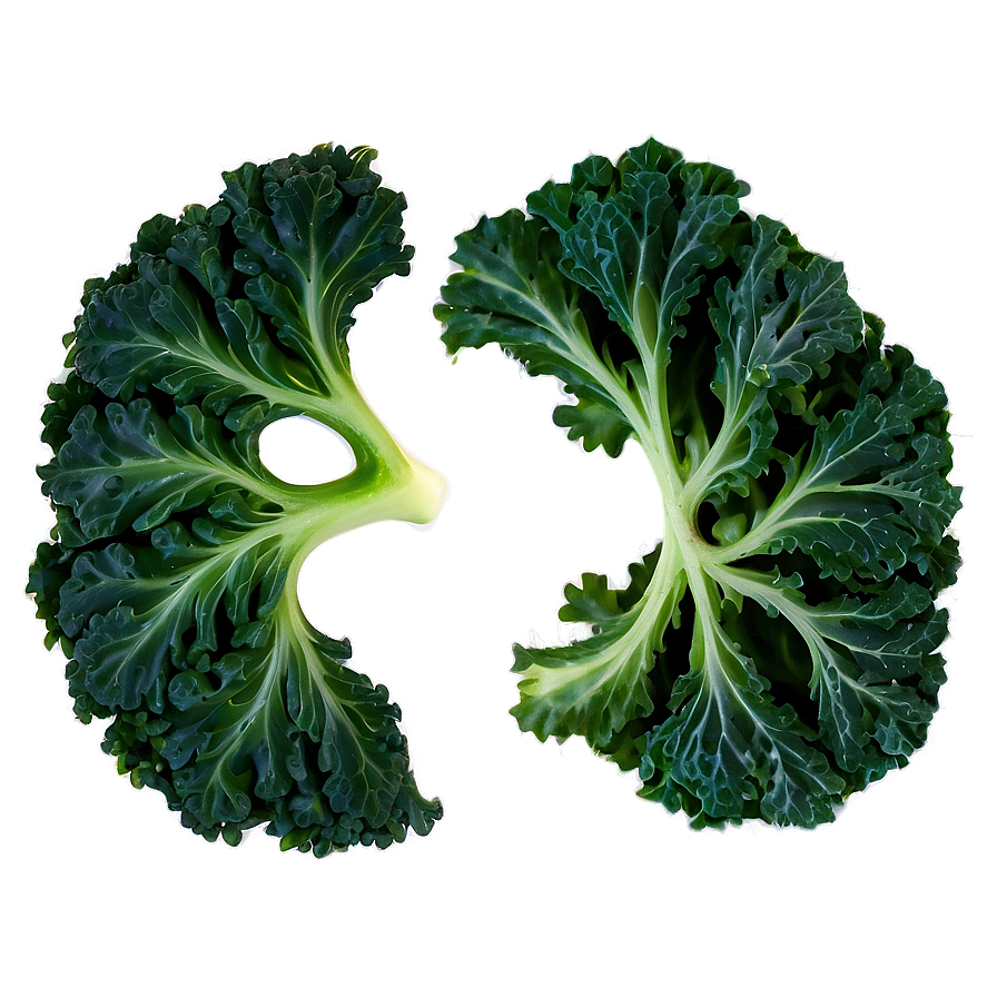 Crispy Kale Png Nma60