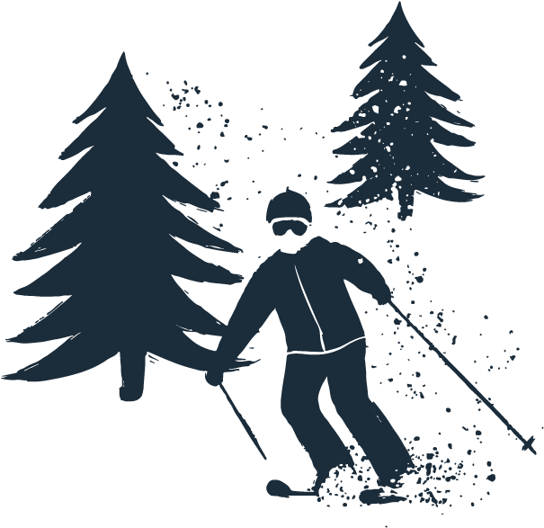 Cross Country Skiing Among Pines