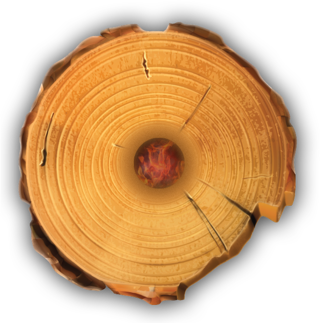 Cross Sectionof Tree Trunk