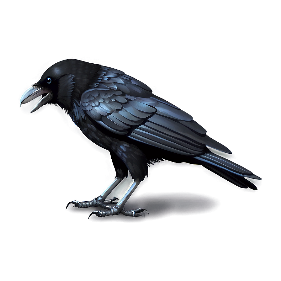 Crow Clipart Png 05232024