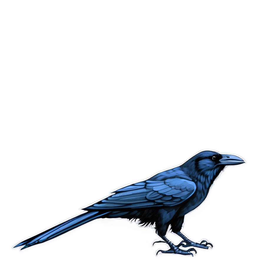 Crow Drawing Png 87