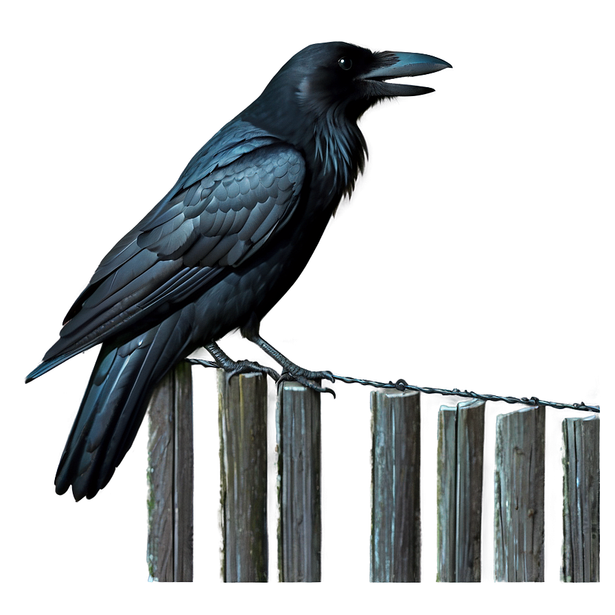 Crow On Fence Png 56