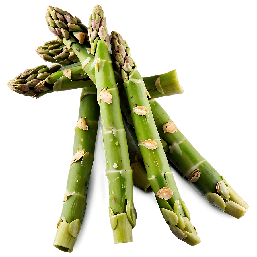 Crunchy Asparagus Snack Png Gwv