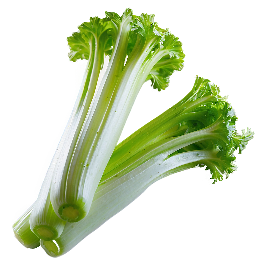 Crunchy Celery Png Wqs71