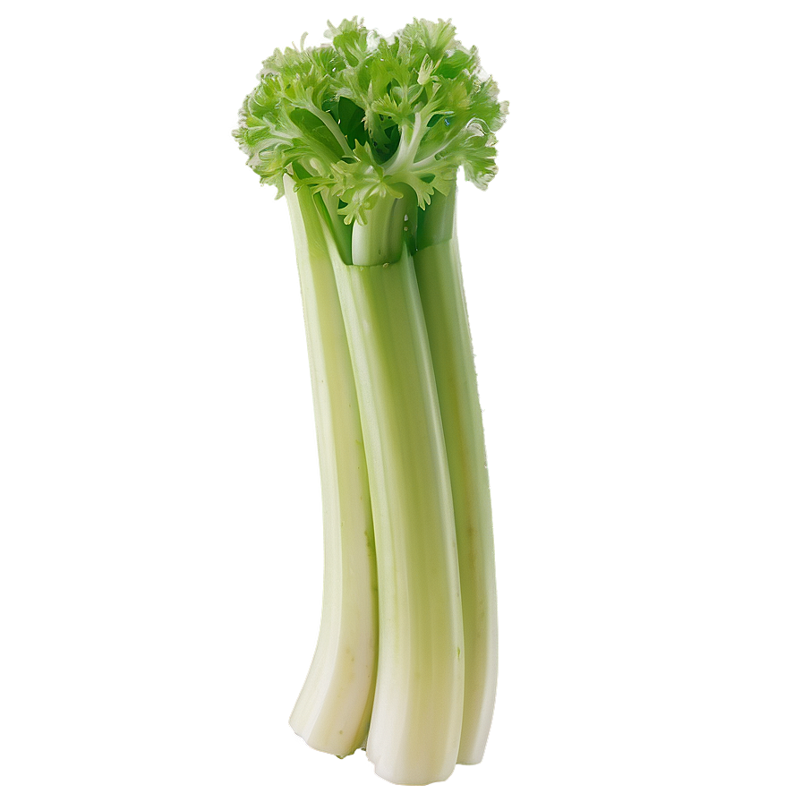 Crunchy Celery Stalks Png Ngb46