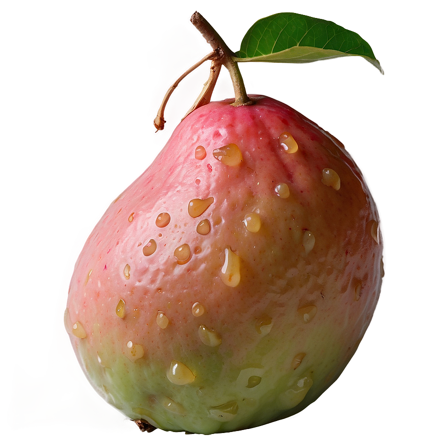 Crunchy Guava Png 10