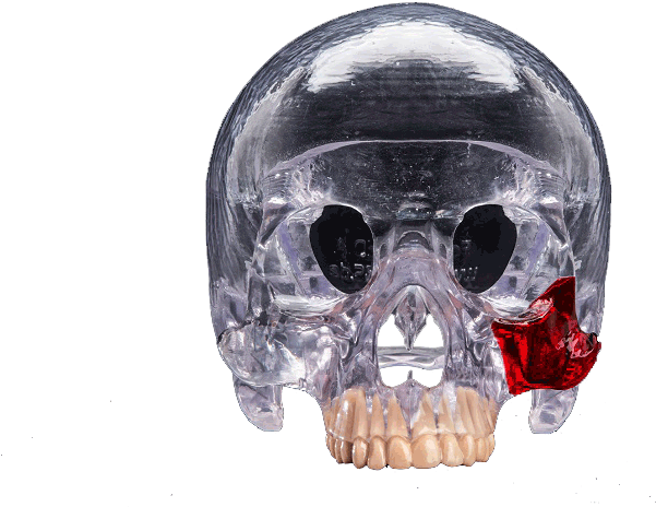 Crystal Skullwith Red Crystal Detail