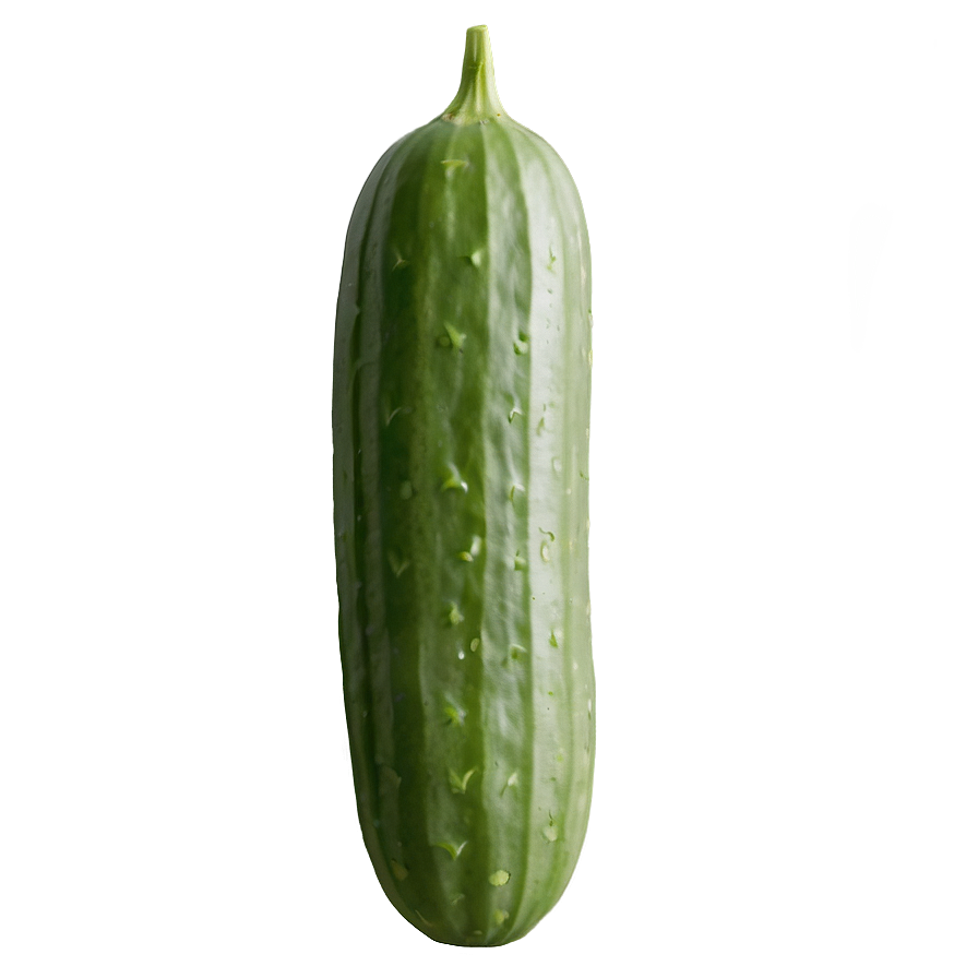 Cucumber On Vine Png 7