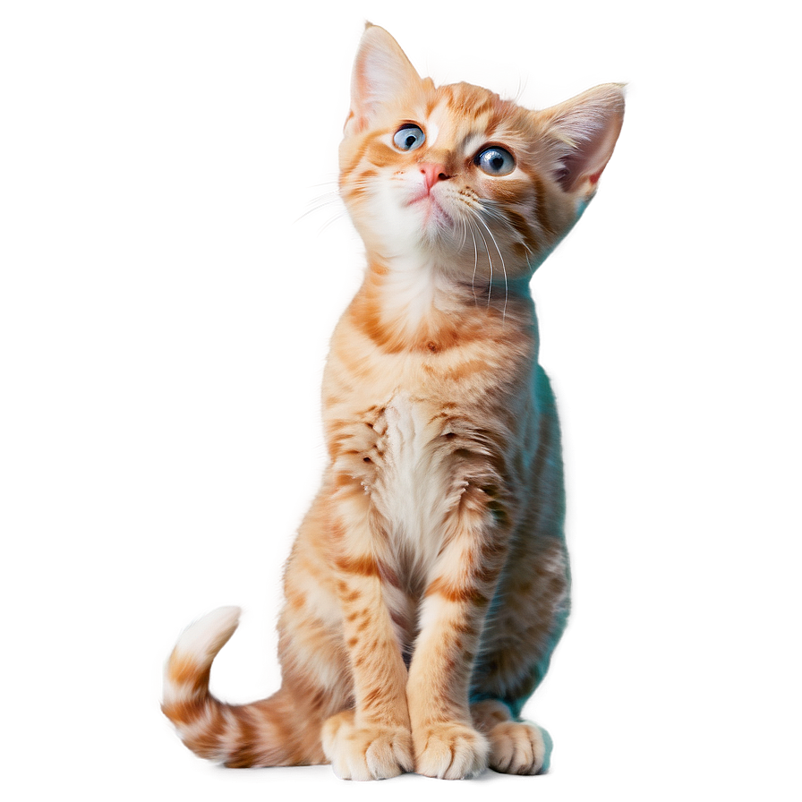 Cuddly Kitty Pose Png 58