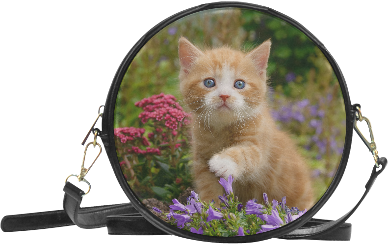 Curious Kitten Magnified Garden View