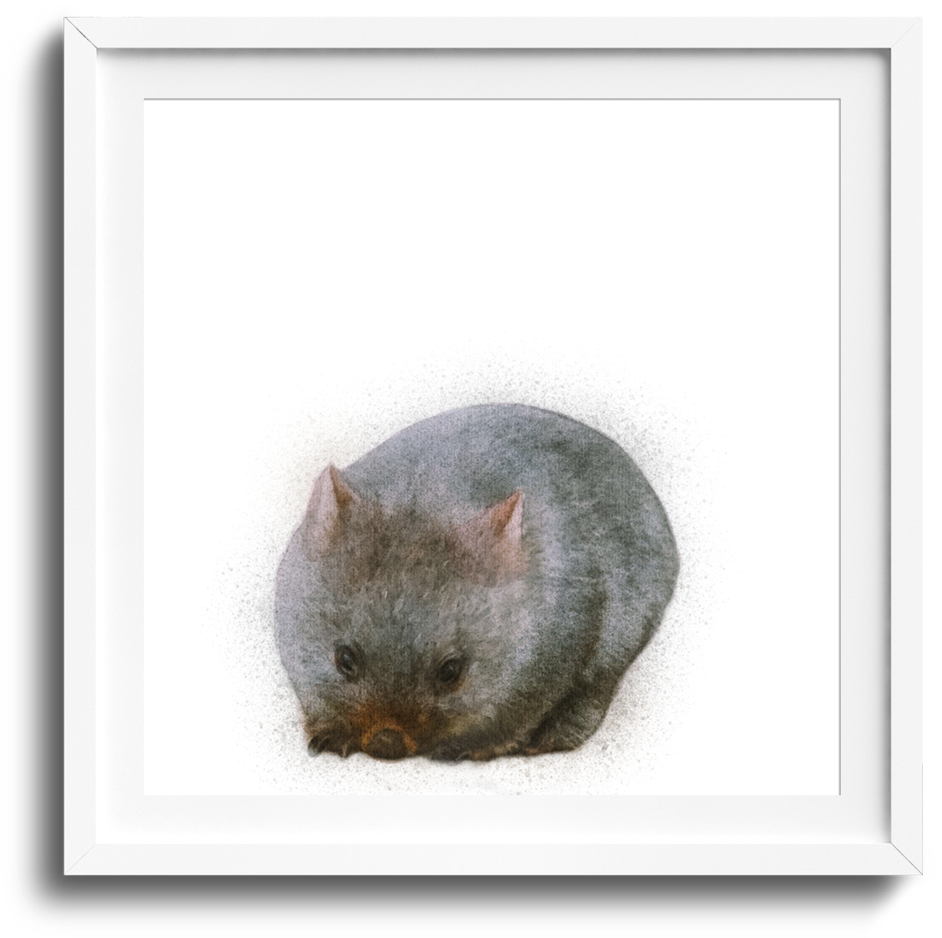 Curled Up Wombat Artwork