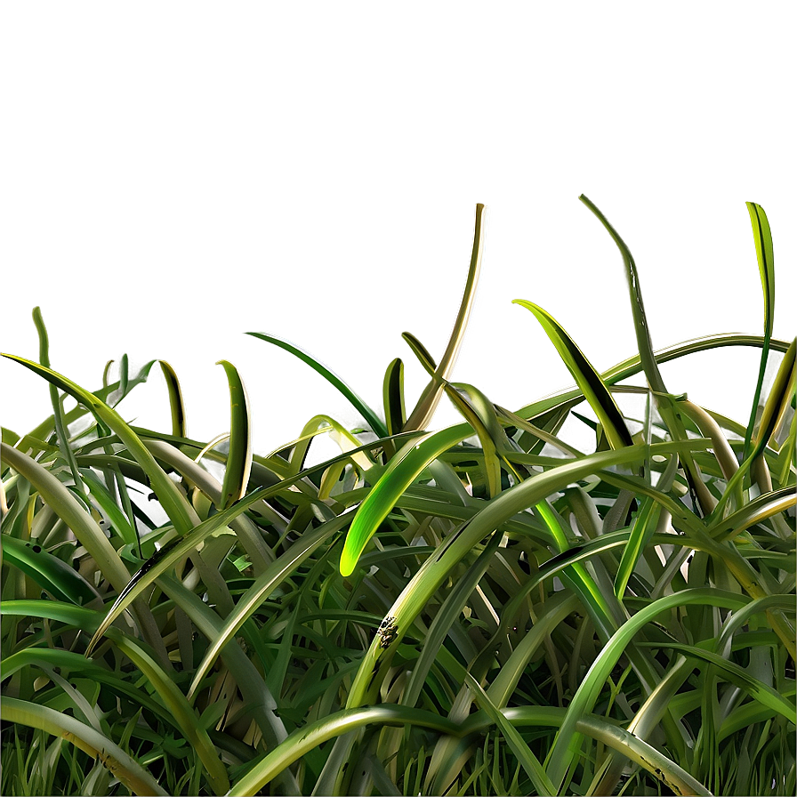 Curly Grass Texture Png Jhf