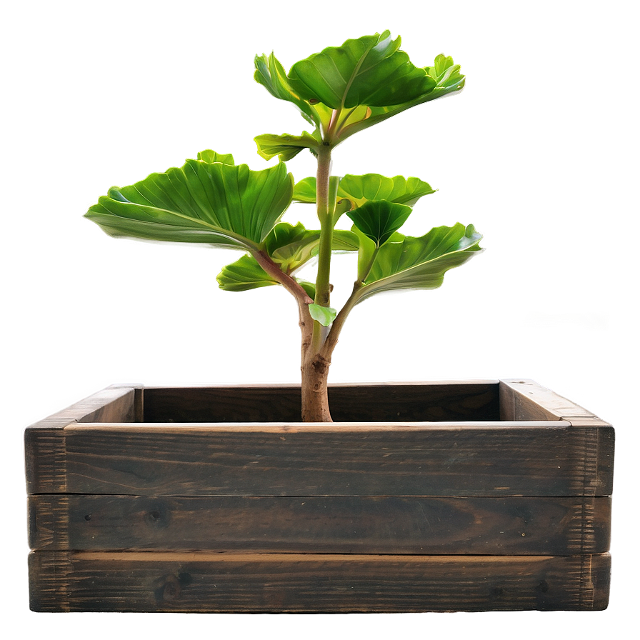 Custom Planter Box Png 06282024