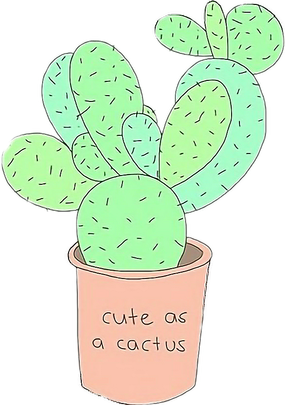 Cute Cactus Tumblr Drawing