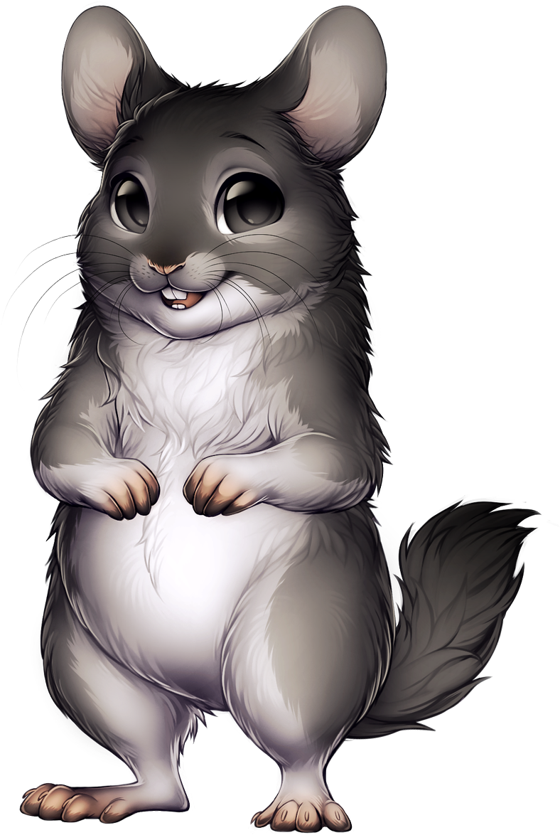 Cute Cartoon Chinchilla.png