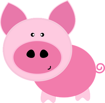 Cute Cartoon Pig Illustration