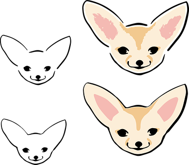 Cute Chihuahua Faces Illustration