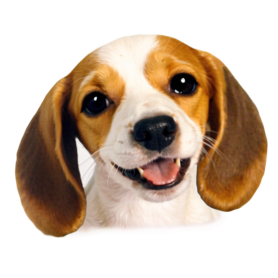 Cute Dog Transparent Png Cbu