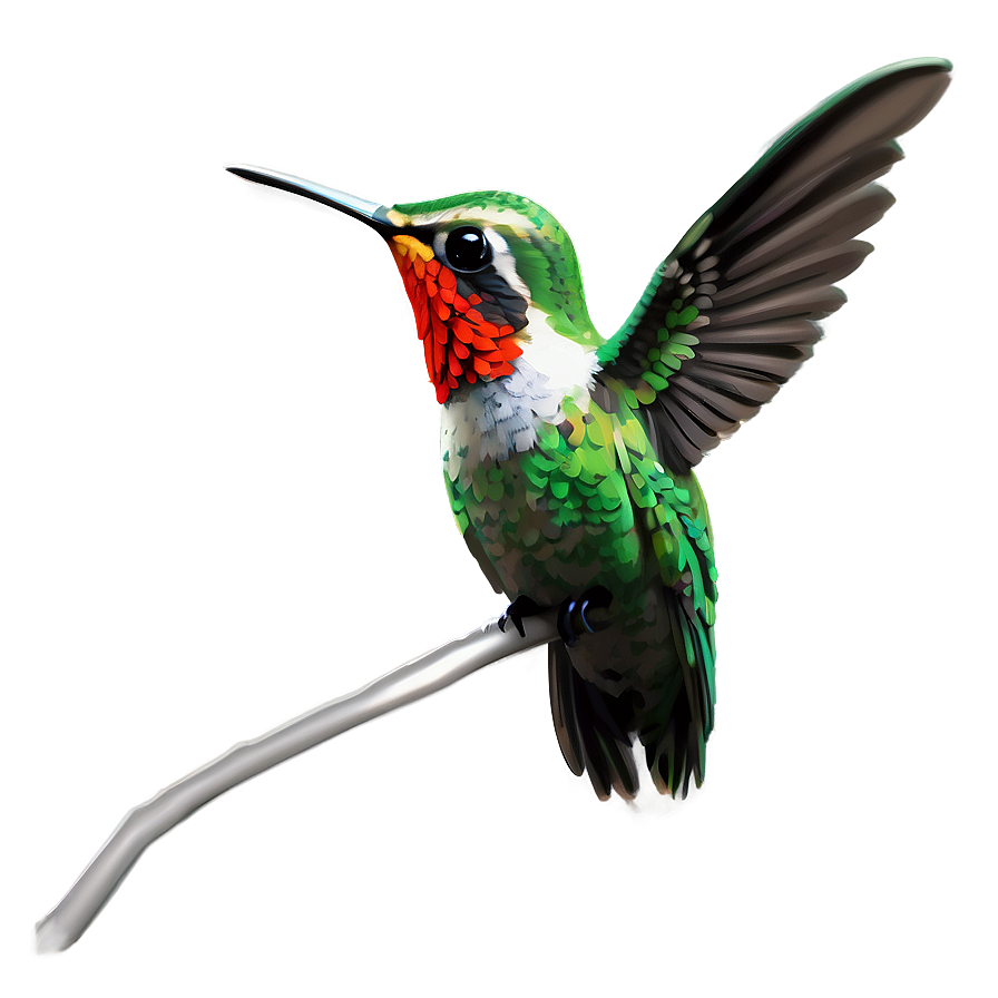 Cute Hummingbird Png Xtk25