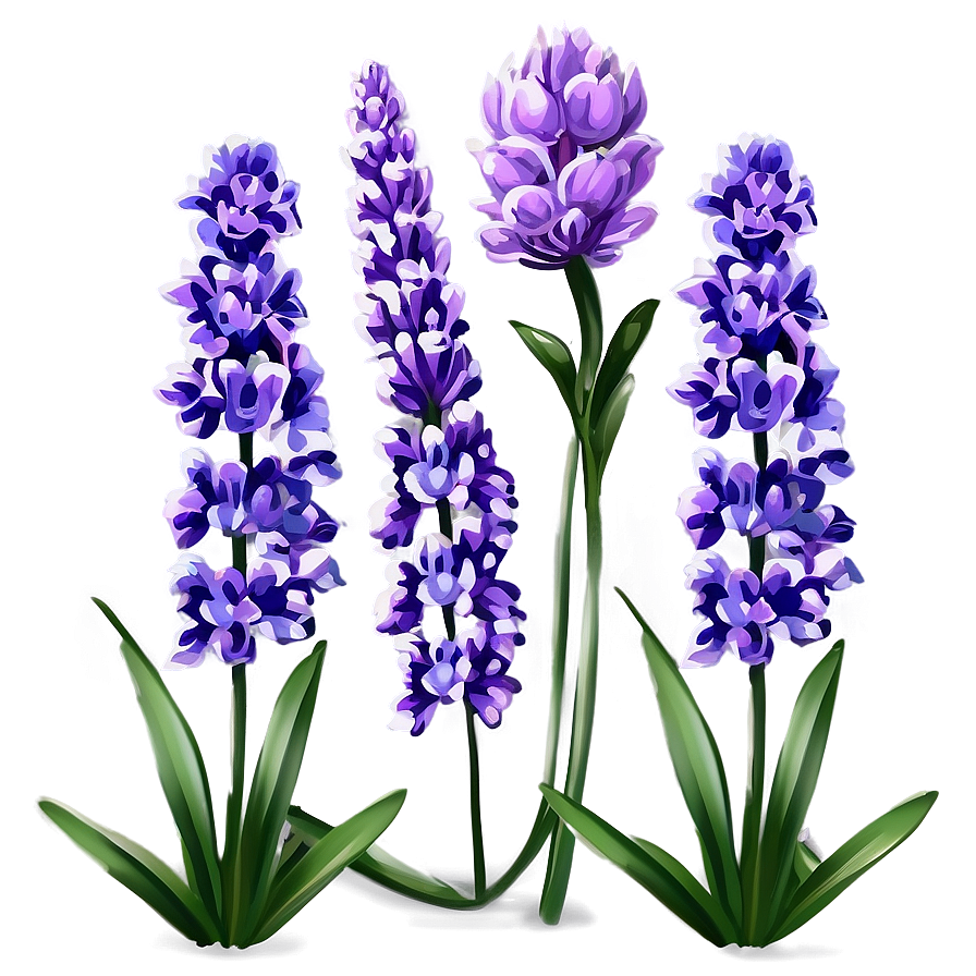 Cute Lavender Flowers Png 06292024