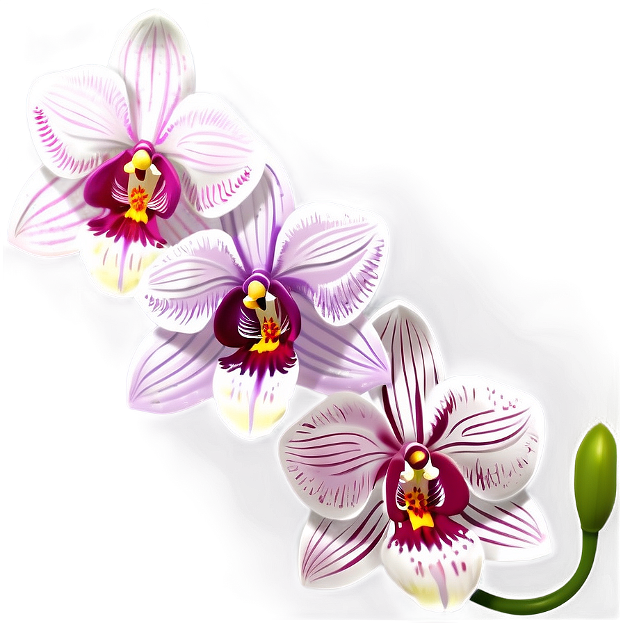 Cute Orchid Flowers Png 06292024