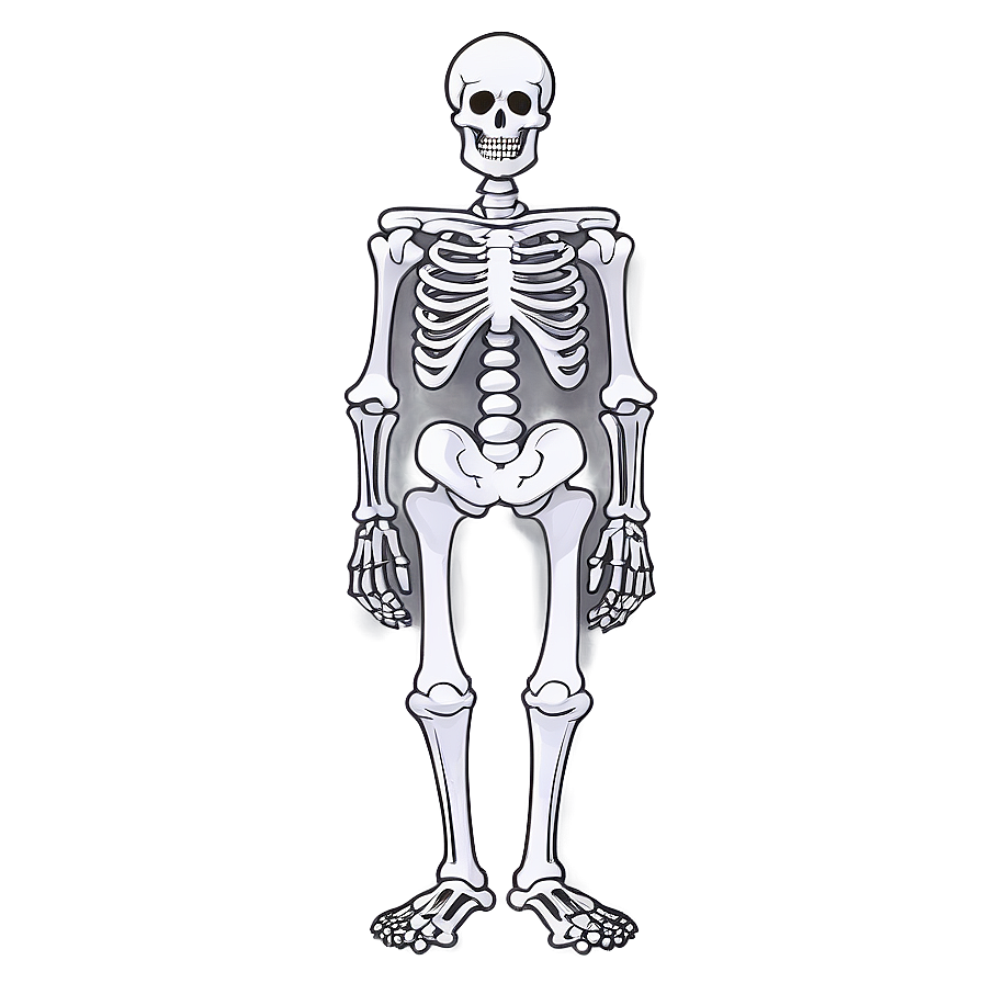 Cute Skeleton Drawing Png Tdy