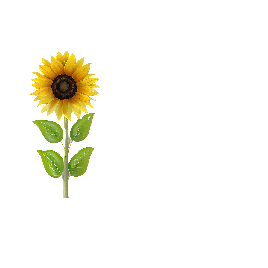 Cute Sunflower Png 98