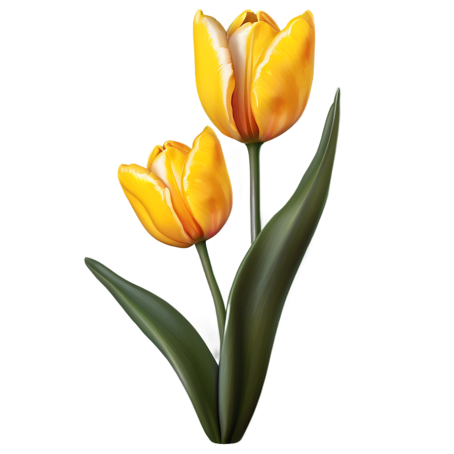 Cute Tulip Flowers Png Rqd