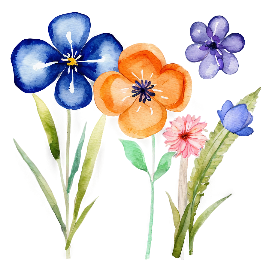 Cute Watercolor Flowers Png Lqs