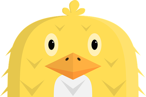 Cute Yellow Chick Cartoon