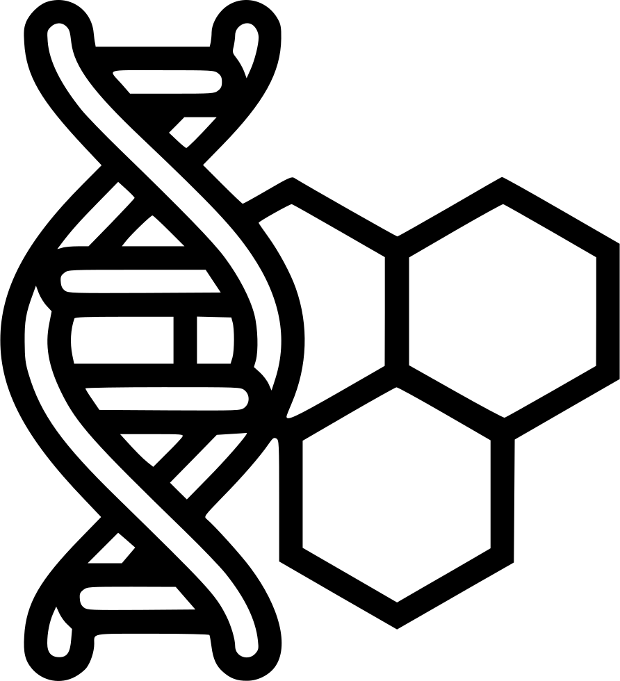 D N A Structureand Chemistry Icon