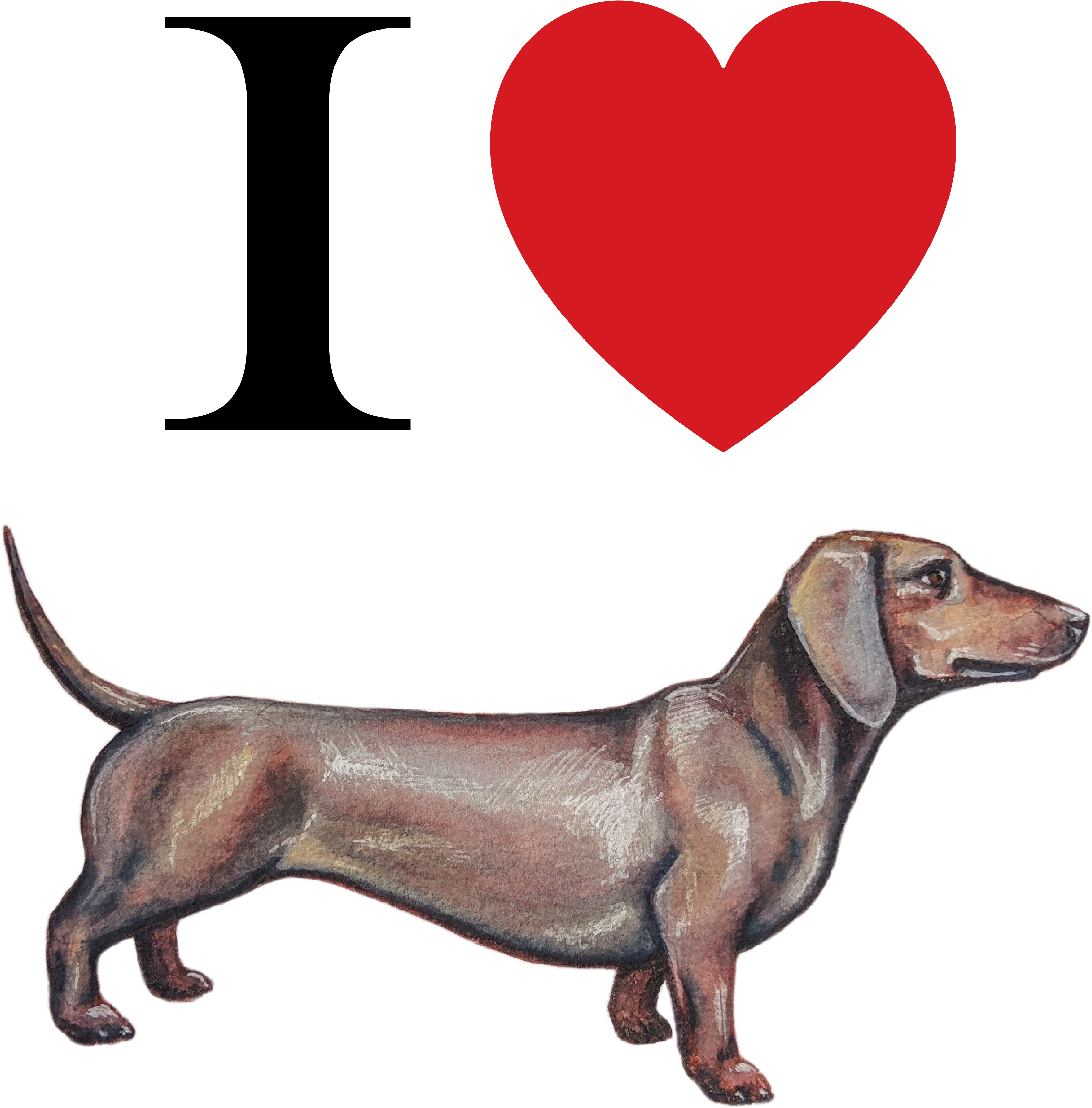 Dachshund Love Illustration