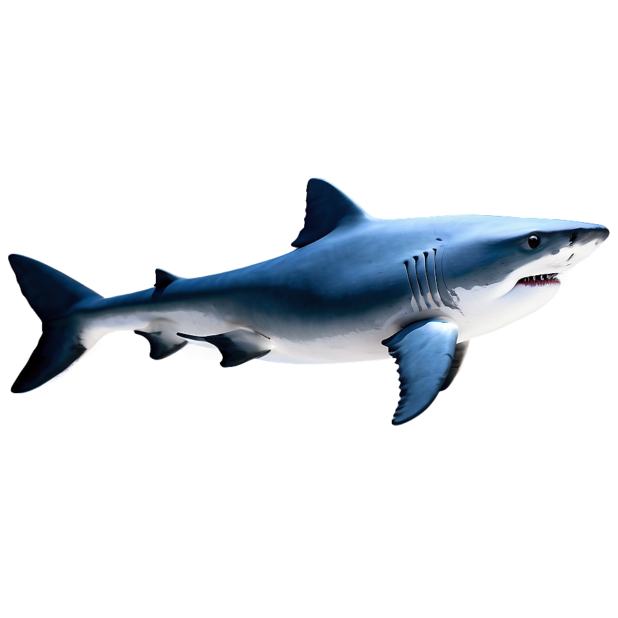 Daddy Shark Blue Png Ynh79