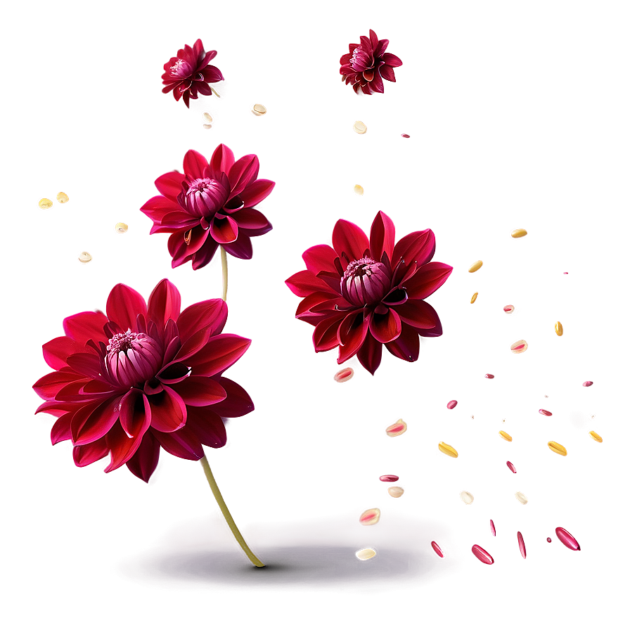 Dahlia Petals Falling Png 70