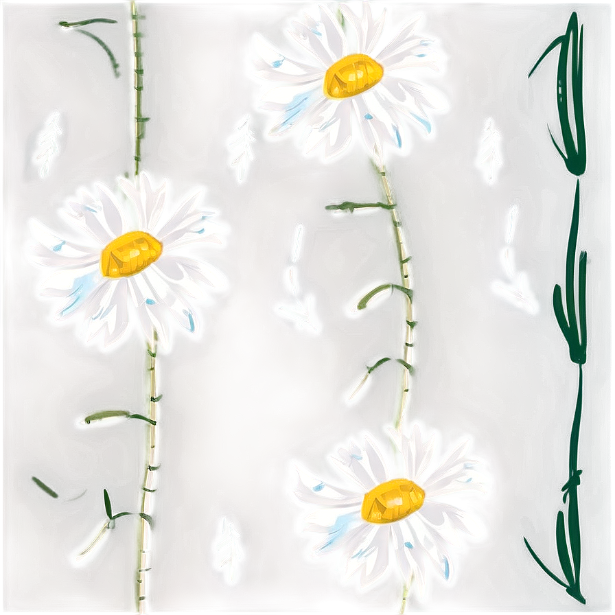 Daisies Floral Pattern Png 06122024