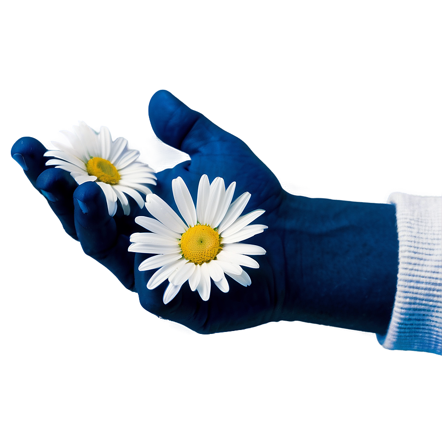 Daisies In Hand Png Hvt