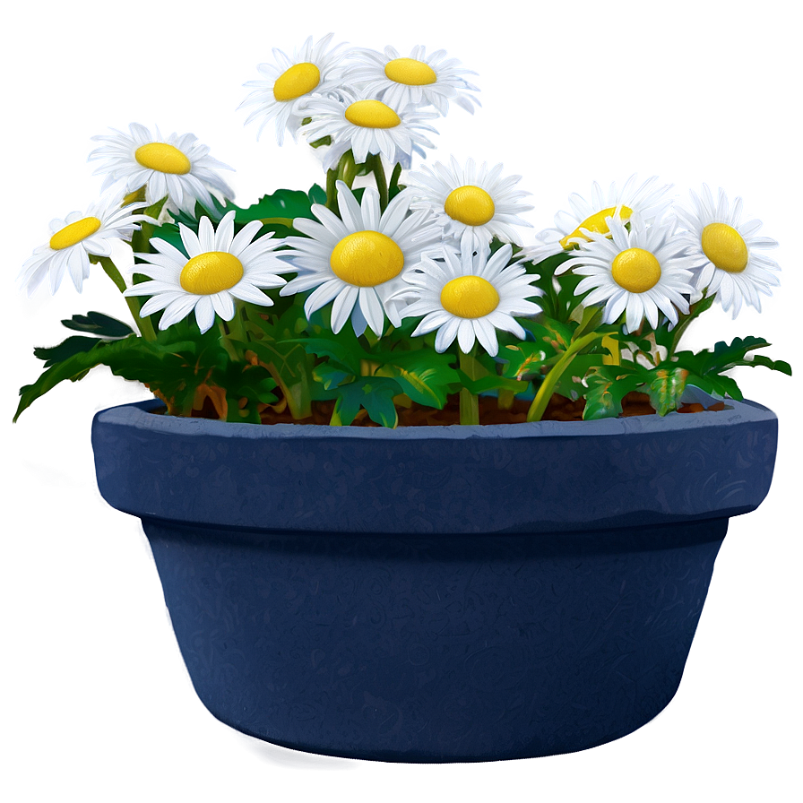 Daisies In Pots Png Fcx75