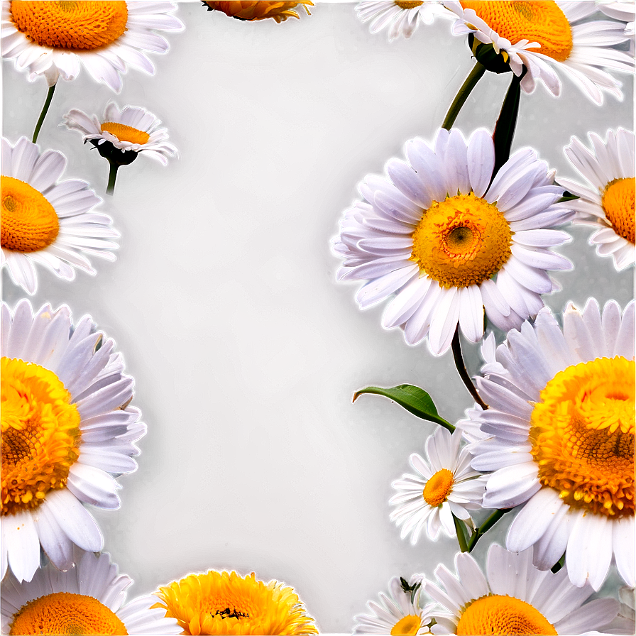 Daisies In Spring Png 95