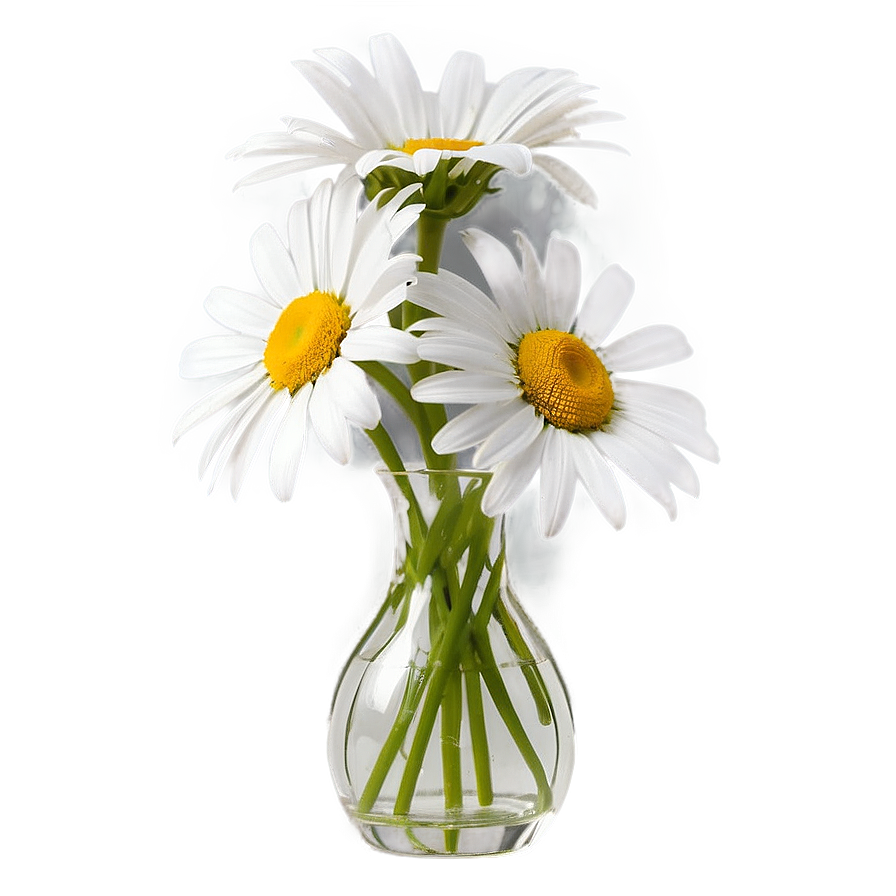 Daisies In Vase Png Nkw73