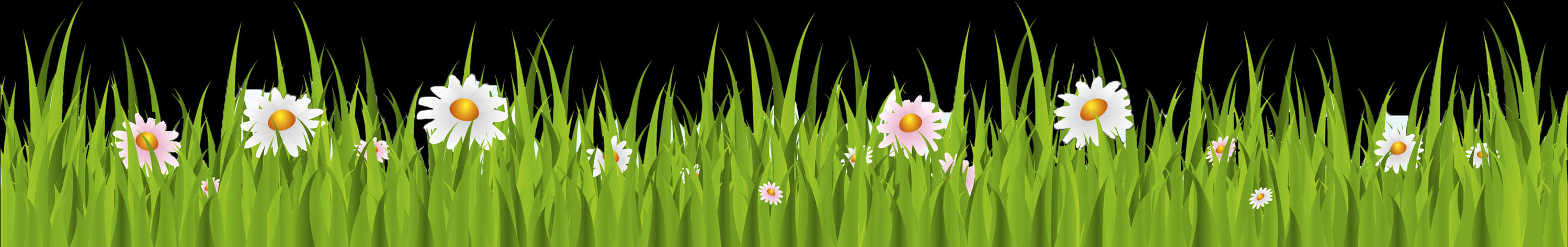 Daisiesin Green Grass Vector