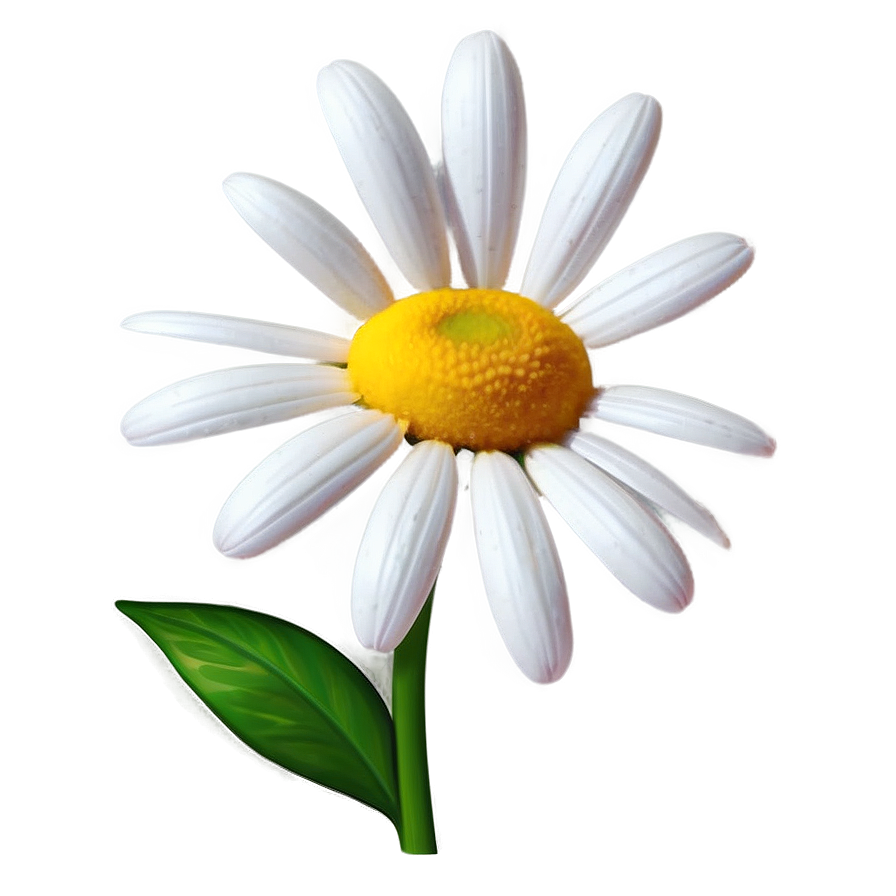 Daisy Artwork Png Lve