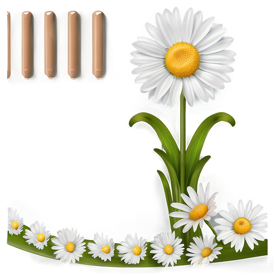 Daisy Border Png 42