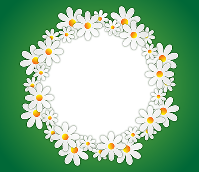 Daisy Circle Green Background